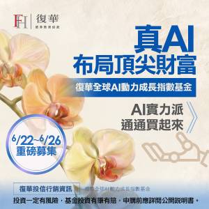 復華金融創新金融指數基金
