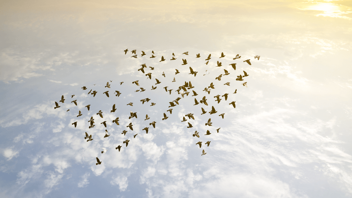 AI推動台股企業獲利躍升，國際重要性同步提升